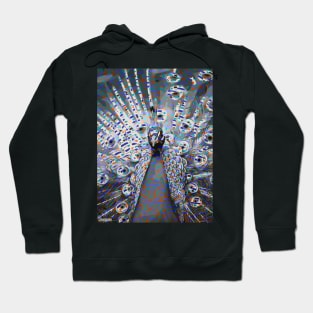 Magical Peacock Hoodie